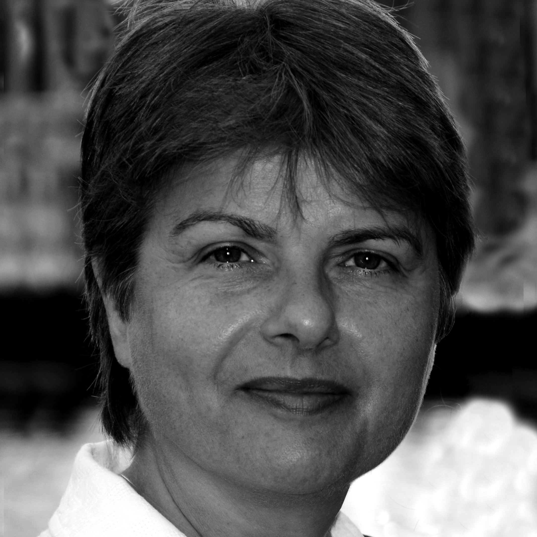 Bildbeschreibungstext